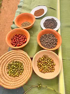 照片 1 Discover Uganda Culture at Ewaffe Cultural Center Entebbe