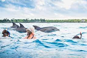 Photo 1 Swimming with Dolphins Tour in Zanzibar