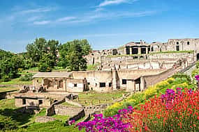 Photo 1 Private day trip: Naples to Pompei, Castellammare Di Stabia, back