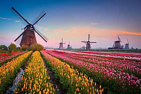 Photo 1 Direct private transfer from Amsterdam to Kinderdijk
