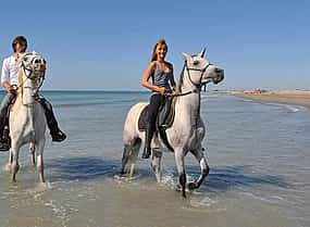 Photo 1 Adventure Safari by Horse in Sharm El Sheikh