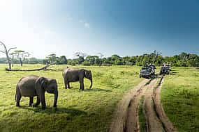 Foto 1 Private Jeep-Safari in einen Nationalpark für ein Paar