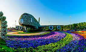 Photo 1 Miracle Garden Tour