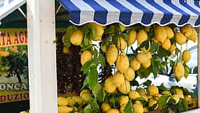 Фото 1 Pompeii and Sorrento Day Tour from Naples