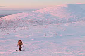 Photo 1 Snowshoeing in the National Park (Pallas-Yllästunturi)