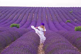 Photo 1 Lavender Fields and Lake Salda from Side.