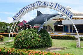 Photo 1 Pattaya: Underwater World