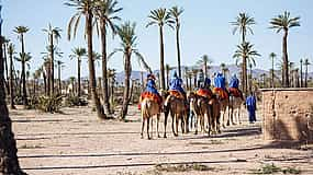 Photo 1 Camel Ride in the Palm Grove