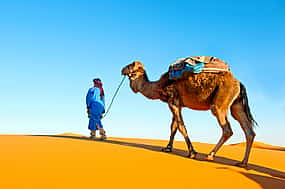 Photo 1 Abu Dhabi: 6-hour Desert Safari with BBQ, Camel Ride & Sandboarding