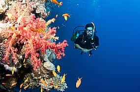 Photo 1 Scuba Diving Experience