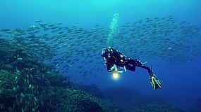 Photo 1 Become a Certified Open Water Diver from Azores - Terceira island  - Your Underwater Adventure Starts Here!
