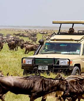 Photo 1 Masai Mara 1-day Trip