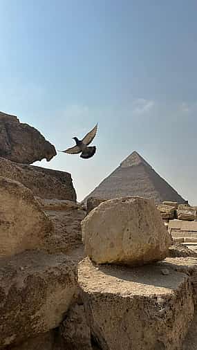 Photo 1 Экскурсия по Пирамидам и Музею из Каира