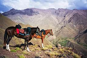 Photo 1 Horseback Riding in the High Atlas Mountains 2-day Tour