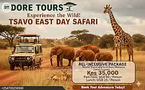 Photo 1 1-Day Tsavo National Park Safari from Diani