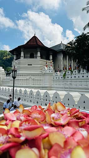 Foto 1 Ein-Tages-Tour in Kandy