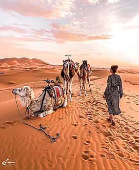 Fotografija 1 Epic Adventure in Ksar Ghilane: 2 Days & 1 Dreamlike Night