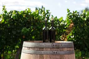 Photo 1 Private Tour in Winery Area with transfer From Vienna to Prague