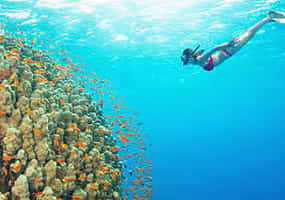 Photo 1 Bali: Padangbai Blue Lagoon Snorkeling with Local Guide
