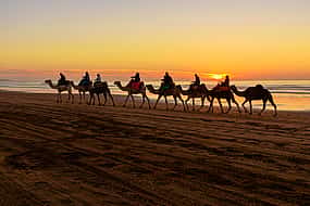 Photo 1 Giro in cammello con barbecue ad Agadir