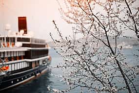 Photo 1 Private Transfer: Vienna to River Cruise Dock Nuremberg - Port/Harbor transport