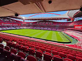 Photo 1 Benfica Stadium And Museum Tour