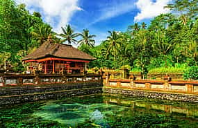 Photo 1 Customizable Private Experience in Bali