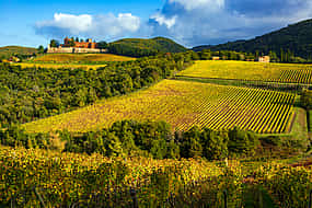 Photo 1 Tuscan Hills Horseback Riding Tour from Siena
