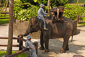 Foto 1 Bali Olifanten Safari Park Tour