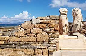 Foto 1 Delos Day Trip from Mykonos