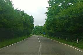 照片 1 Vashlovani Park Tour: 3 Days of Wilderness & Adventure