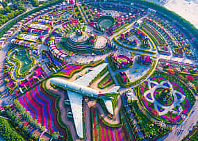 Foto 1 Dubai Miracle Garden Eintrittskarte