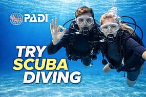 Photo 1 Try Scuba Diving Experience in Funchal