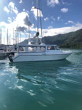 Foto 1 Besuch des Meeresparks Baie Ternay und St. Anne

