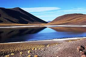 Foto 1 San Pedro de Atacama, Altiplanic Lagoons and Piedras Rojas - Full day