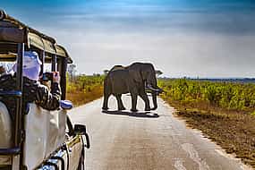 Photo 1 An Unforgettable Safari from Johannesburg to Pilanesberg