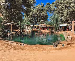 Fotografija 1 Ksar Ghilane Oasis, Sahara and Oasis Tour