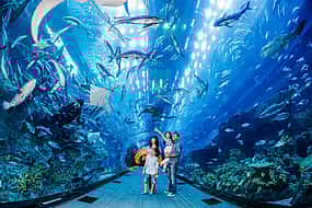 Photo 1 Burj Khalifa 124/125th floor visit, Dubai Mall shopping, Aquarium & Zoo tour & Desert Safari with BBQ Dinner