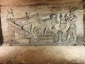 Photo 1 Александрия из Каира за 1 день