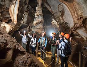 Photo 1 Half Day Cradle Of Humankind Tour