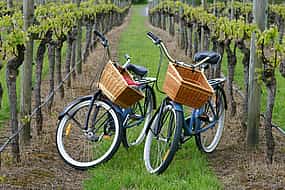 Photo 1 Vineyard Bike Tour in Binissalem and Wine Tasting