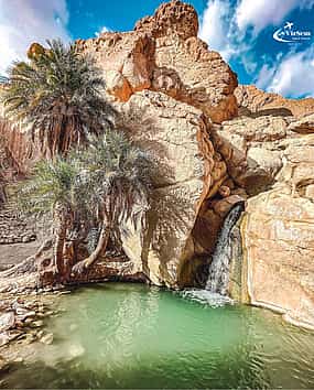 Fotografija 1 Oases, Adventure & Star Wars: An Epic Journey from Djerba to Tozeur