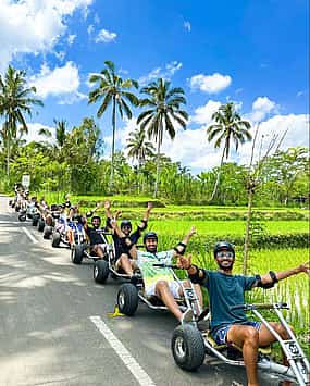 Фото 1 Jungle Cart Ubud: Real-Life Mario Kart Gravity Adventure