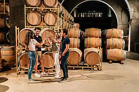Foto 1 Ribera del Duero Winery and Segovia Tour from Madrid
