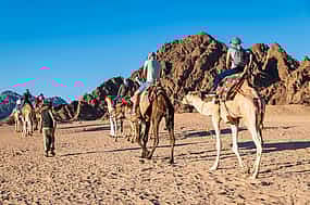 Fotografie 1 Camel Safari and Quad Bike Ride