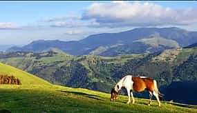 Photo 1 Visite guidée avec chauffeur privé des plus beaux sites et villes du Pays Basque Nord.
