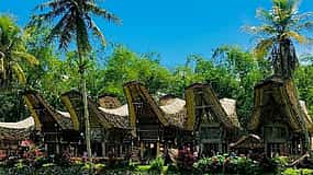 Photo 1 Sulawesi: Toraja Tour 3 Days From Makassar to Explore Ancient Culture and Nature Beauty