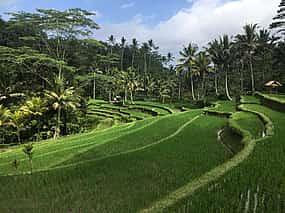 Photo 1 4-day Bali Package
