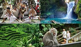 Photo 1 Bali: 1 Day Tour to Discover Waterfall - Sacred Temple - Coffee Plantation - Rice Terrace - Monkey Forest