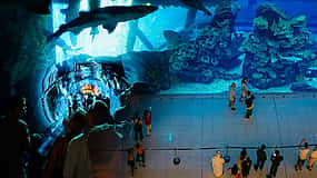 Photo 1 Private Half Day Dubai City Tour with Dubai Mall Shopping, Aquarium & Zoo, Burj Khalifa 148th floor & Musical Fountain Show
